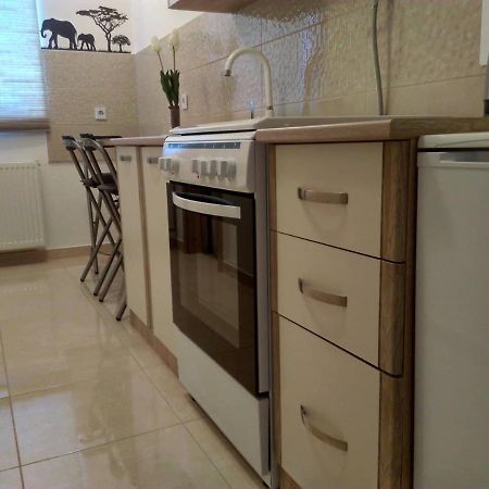 Studio Apartman Zdral Daruvar Extérieur photo