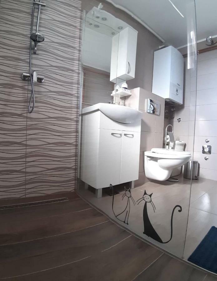 Studio Apartman Zdral Daruvar Extérieur photo