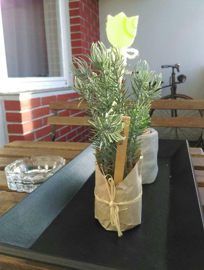 Studio Apartman Zdral Daruvar Extérieur photo